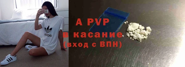 экстази Бородино