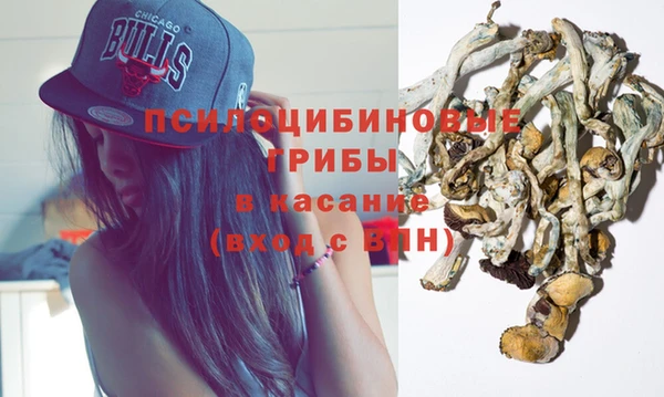 экстази Богородск