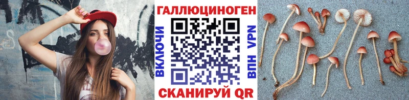 Галлюциногенные грибы Cubensis  что такое   Качканар 